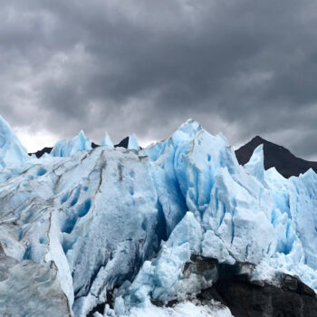 safari azul 19 safari azul 19