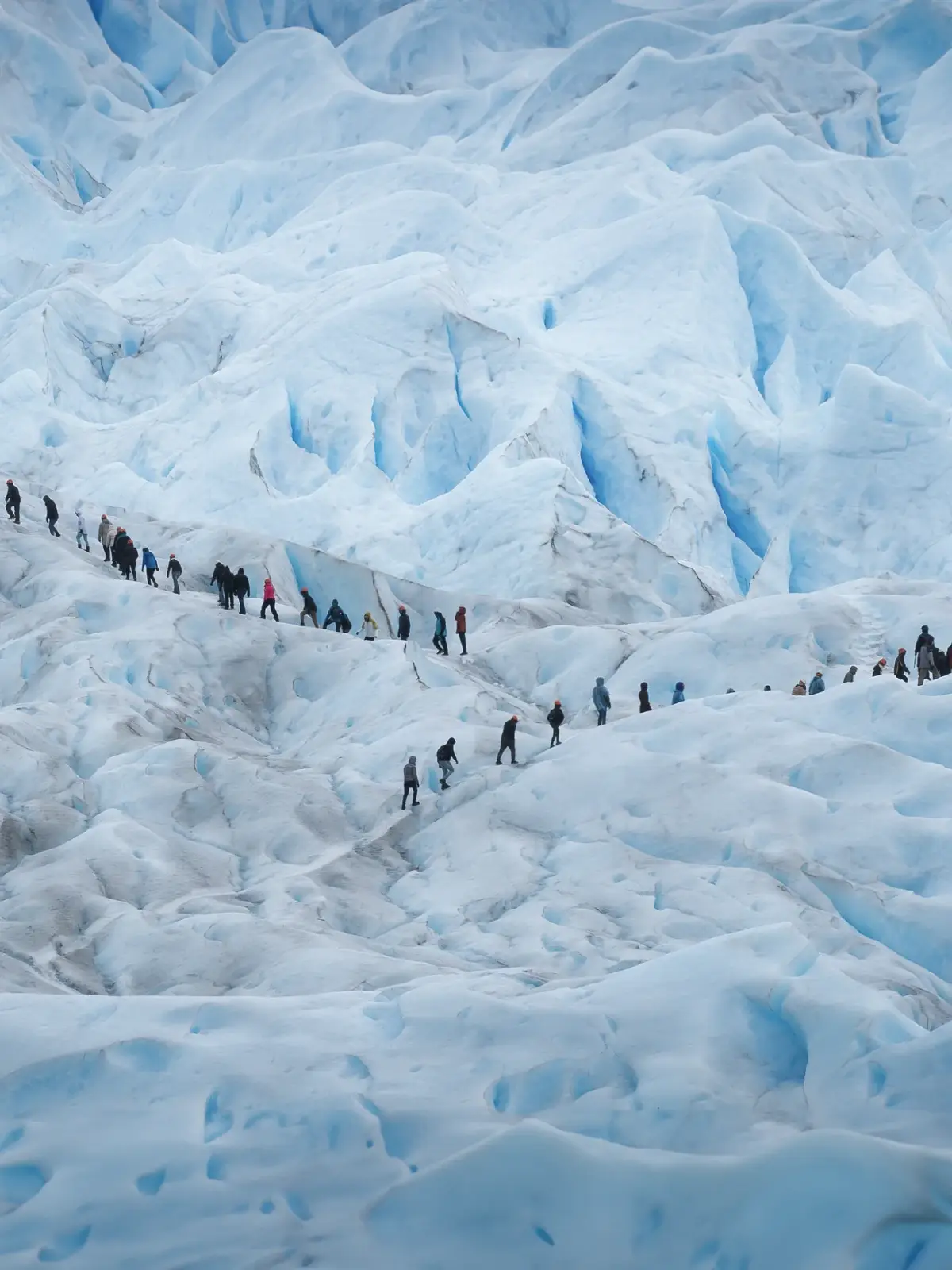 Una vista aérea de un grupo de personas haciendo trekking en fila sobre un vasto glaciar con superficies irregulares de hielo blanco y azulado, mostrando grietas y ondulaciones.